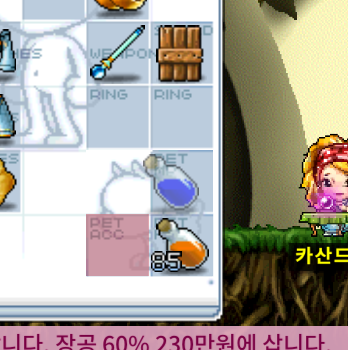 메이플랜드 펫 얻는 방법 3분 정리: 물약 자동 충전 기능과 함께 게임 난이도를 낮추는 방법 6 메이플랜드 펫 물약 설정